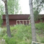 Karhula_gardens_jobs_09_chicken_run_14
