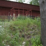 Karhula_gardens_jobs_09_chicken_run_4